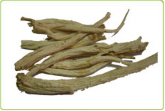  Radix Platycodi, Platycodon Root Extract